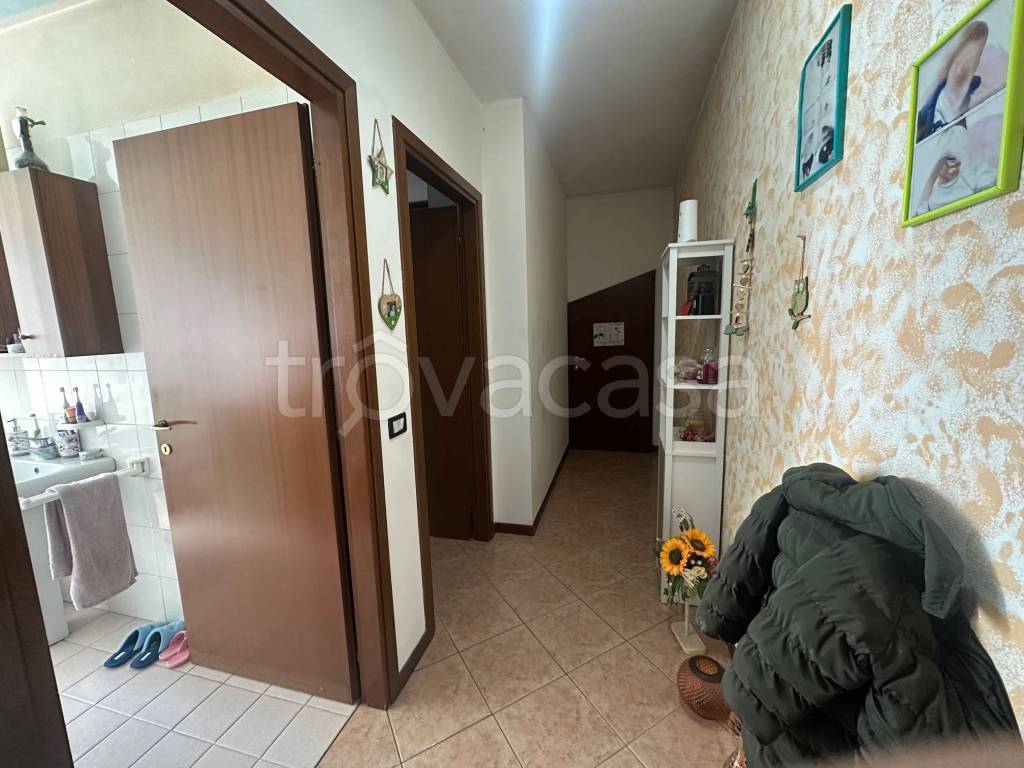 immagine annuncio 7 di 14