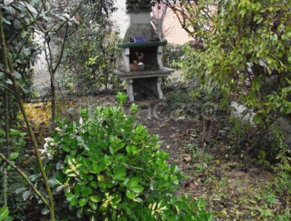 immagine annuncio 8 di 12