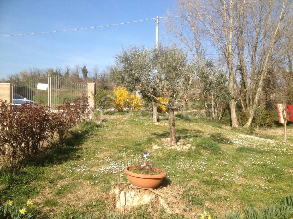 immagine annuncio 1 di 14