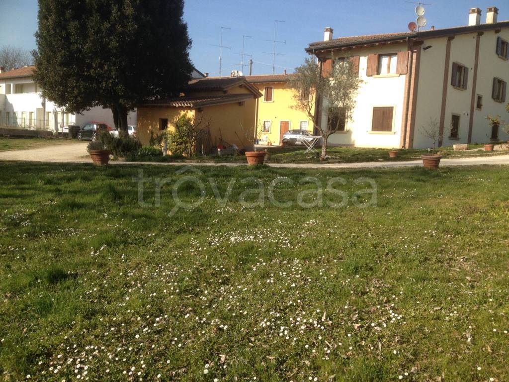 immagine annuncio 2 di 14