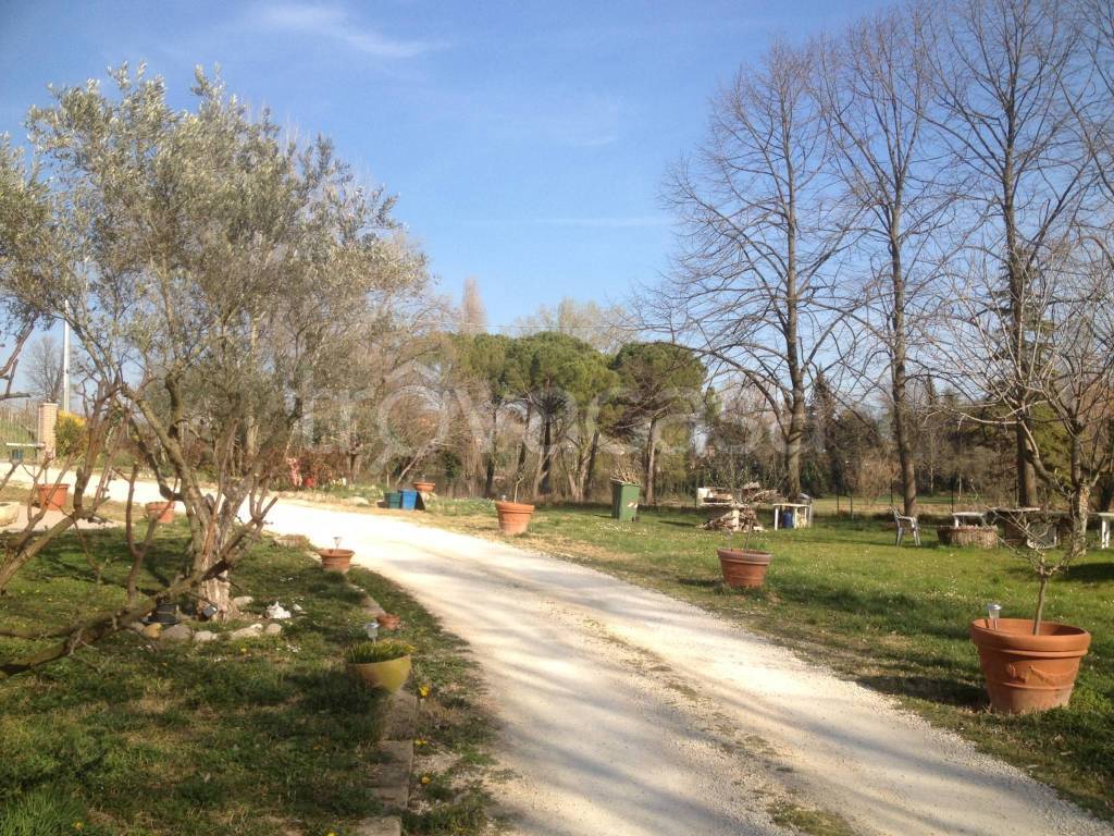 immagine annuncio 3 di 14