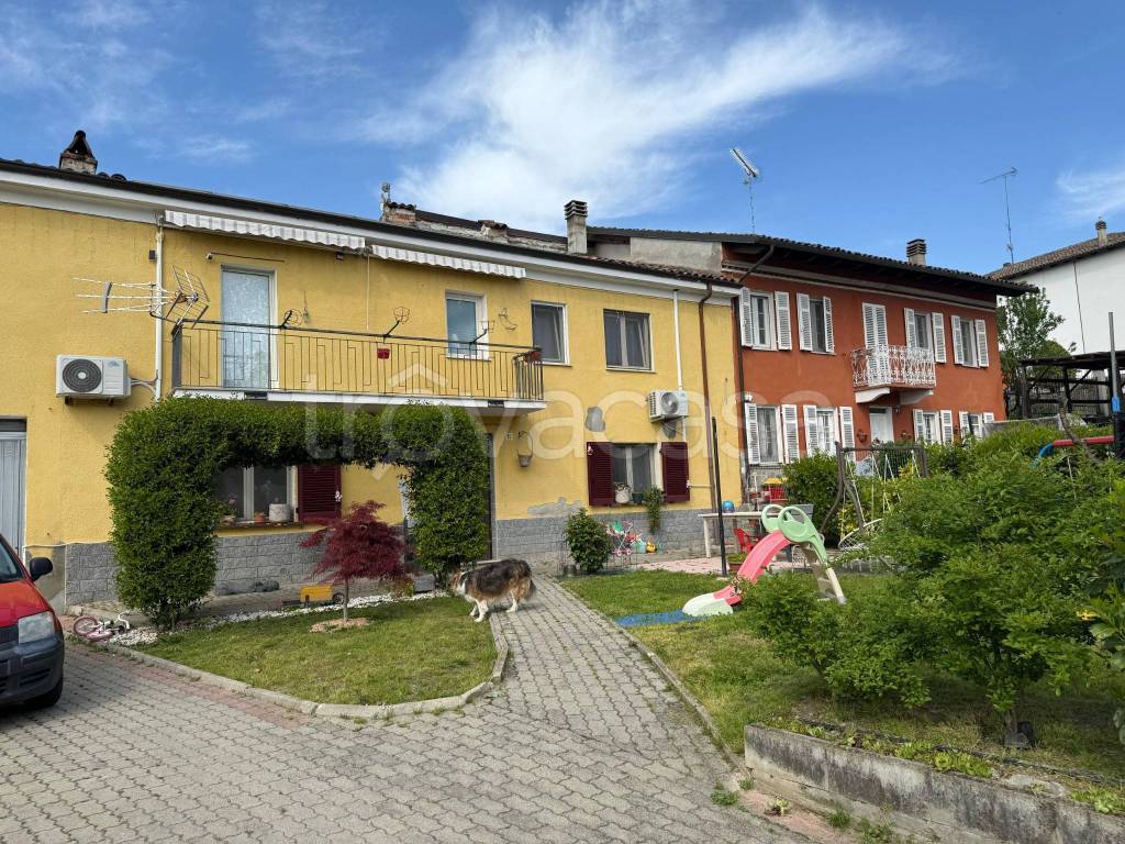 immagine annuncio 3 di 15