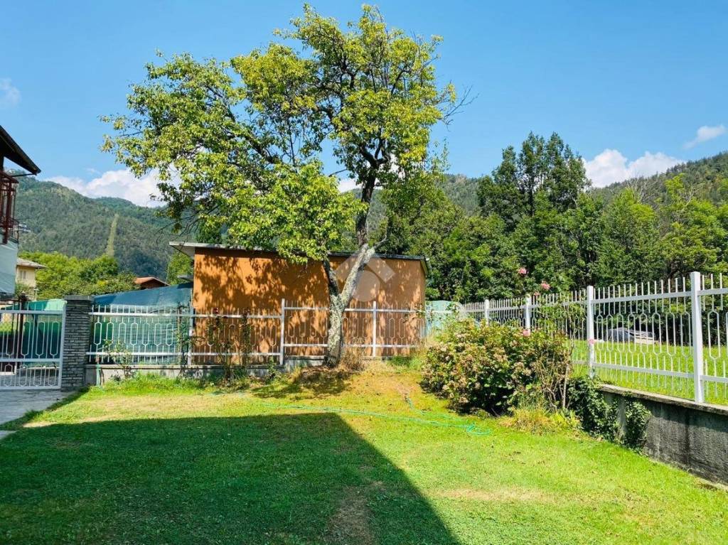 immagine annuncio 8 di 15