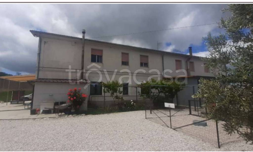 immagine annuncio 6 di 12