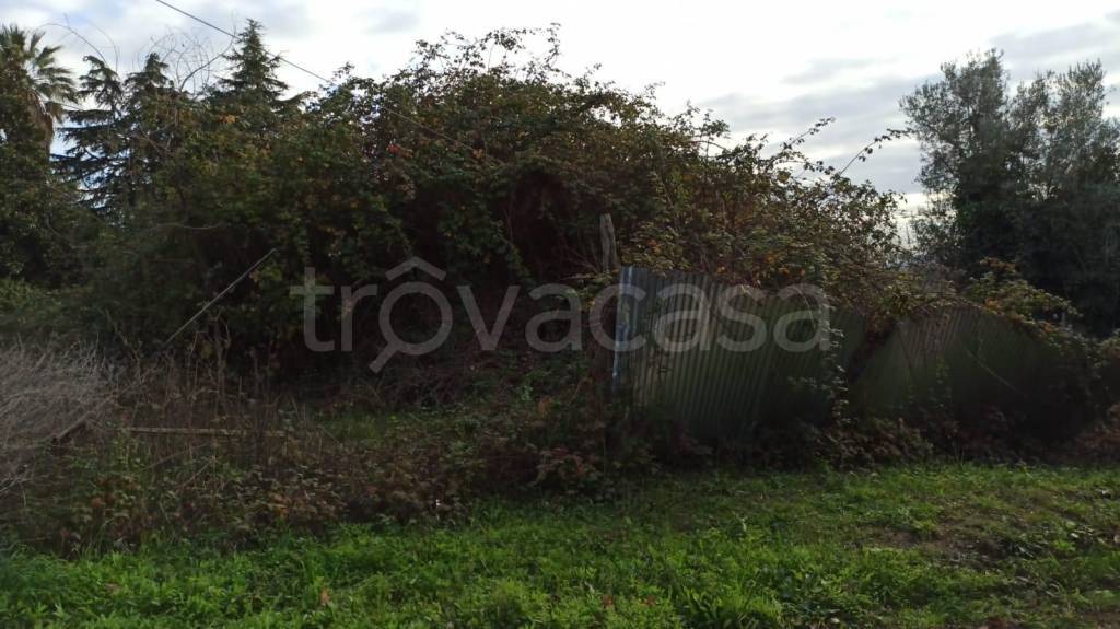immagine annuncio 4 di 7