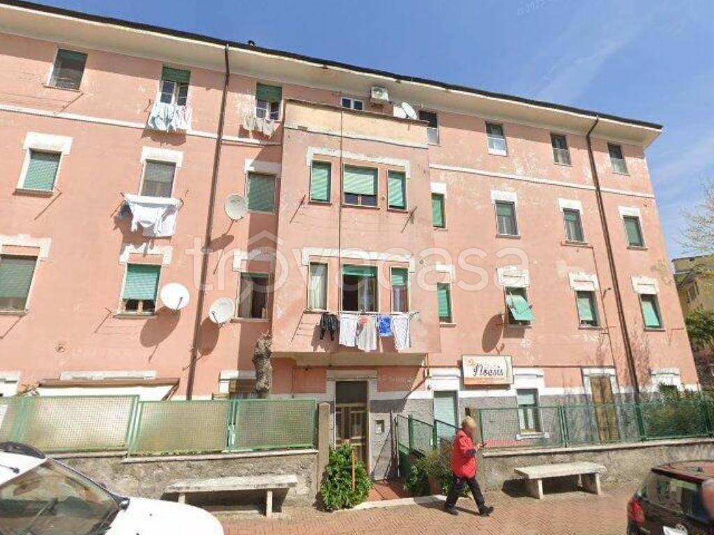 immagine annuncio 3 di 12