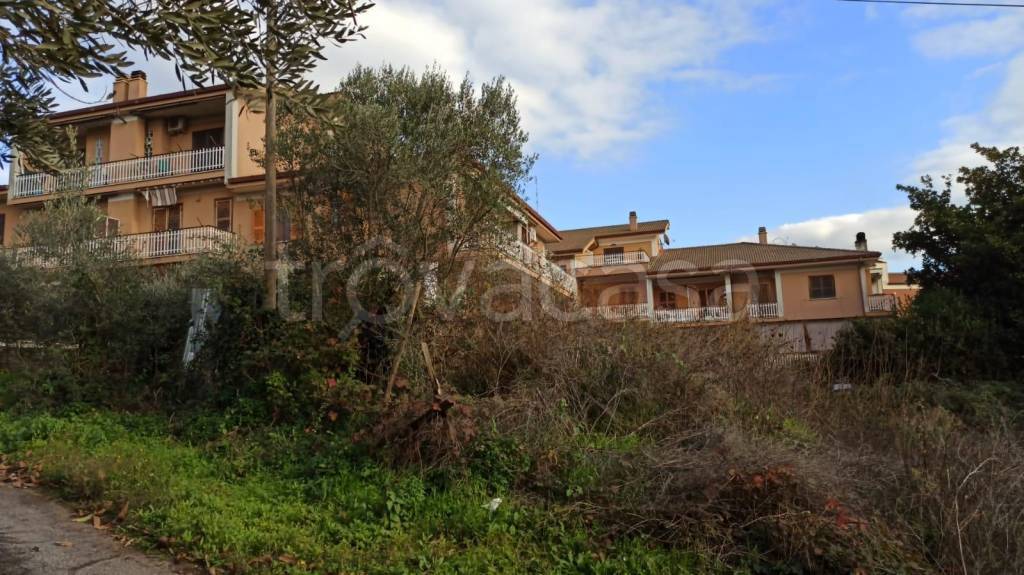 immagine annuncio 6 di 7