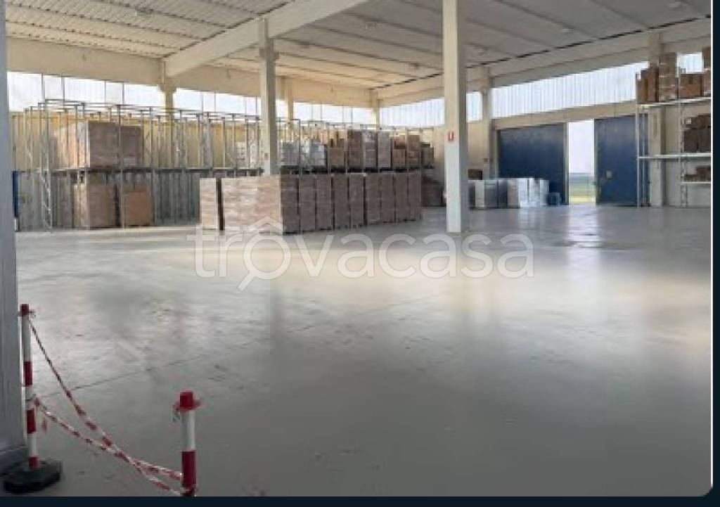 immagine annuncio 8 di 11