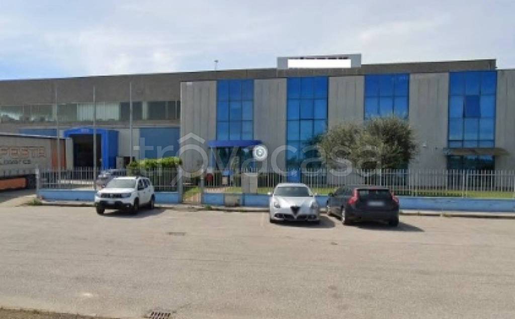 immagine annuncio 9 di 11