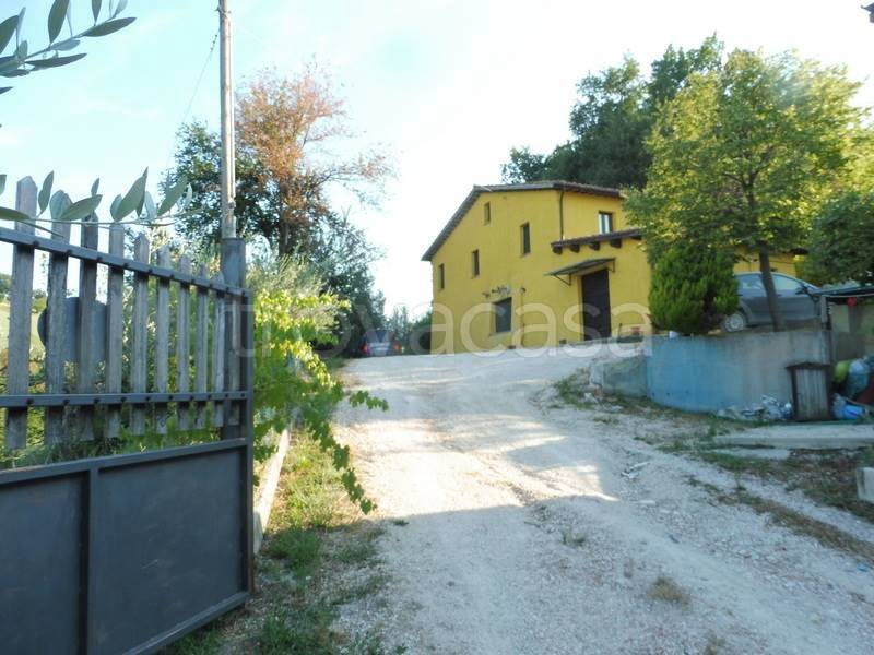 immagine annuncio 11 di 12