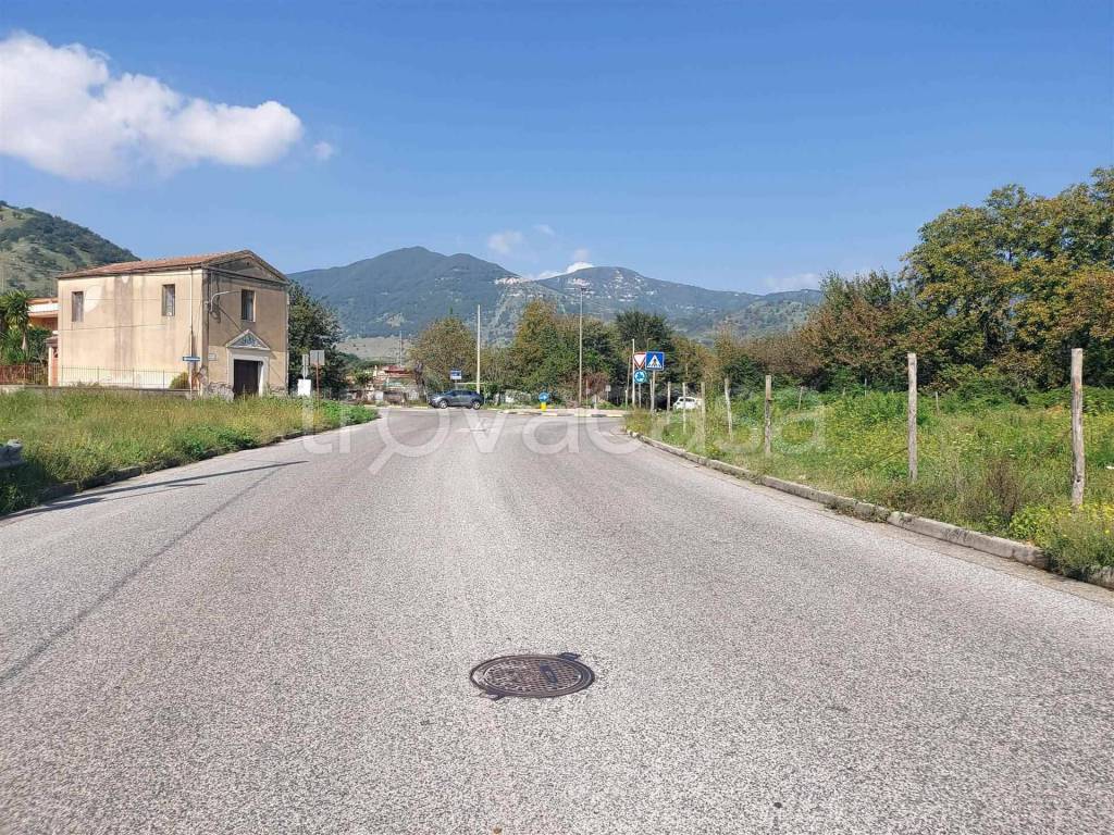 immagine annuncio 4 di 11