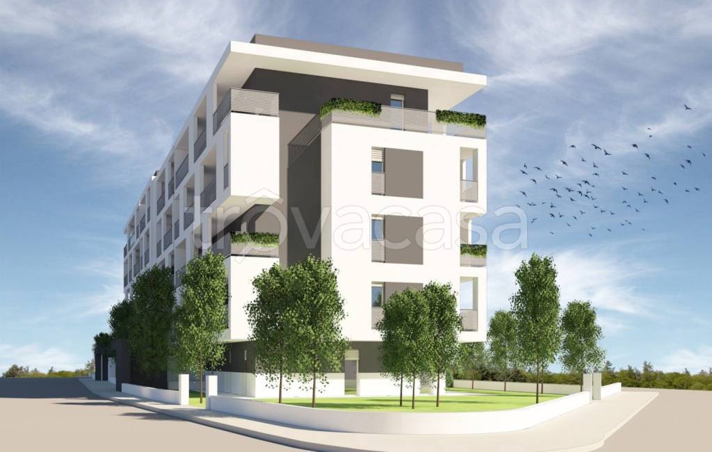 immagine annuncio 3 di 13