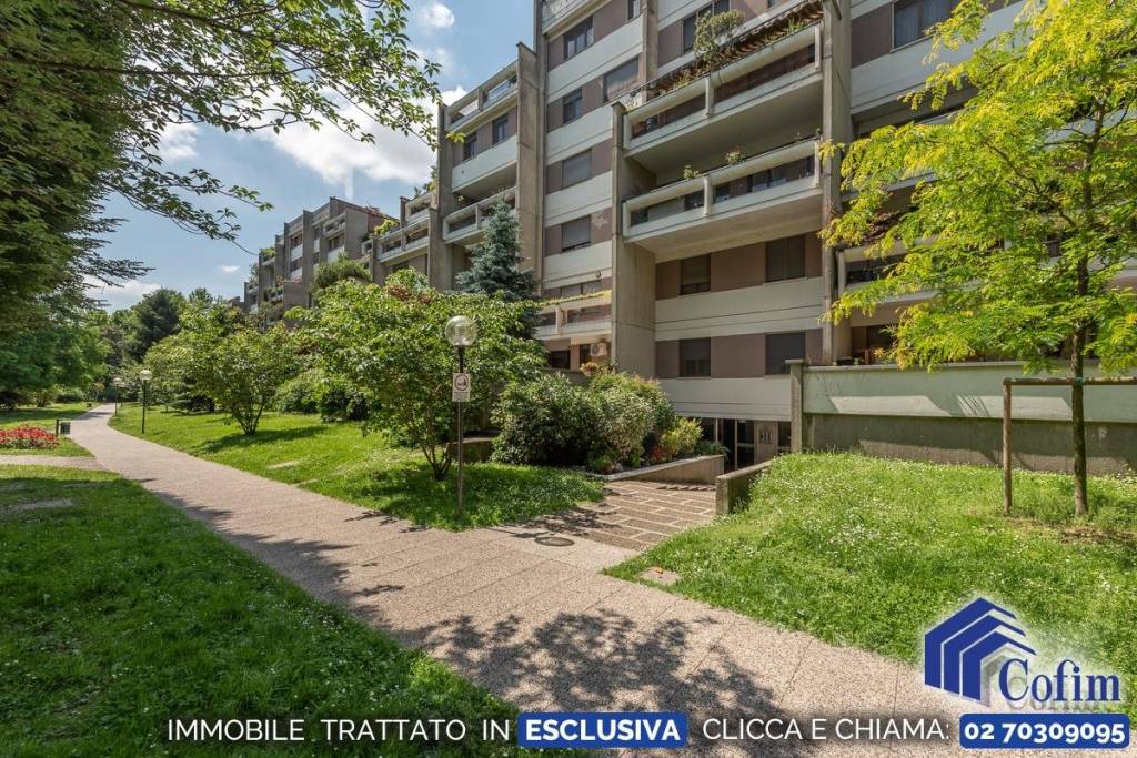 immagine annuncio 7 di 14