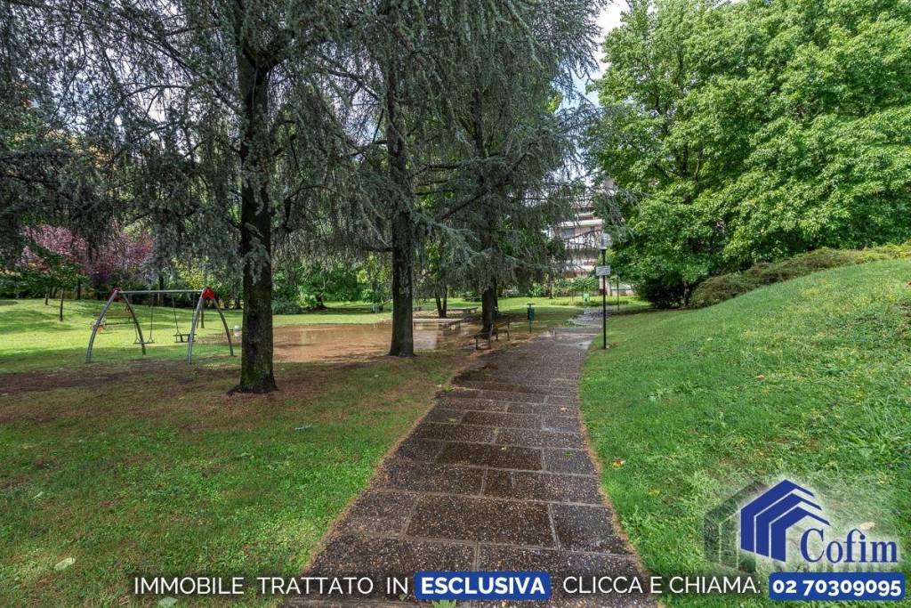 immagine annuncio 12 di 14