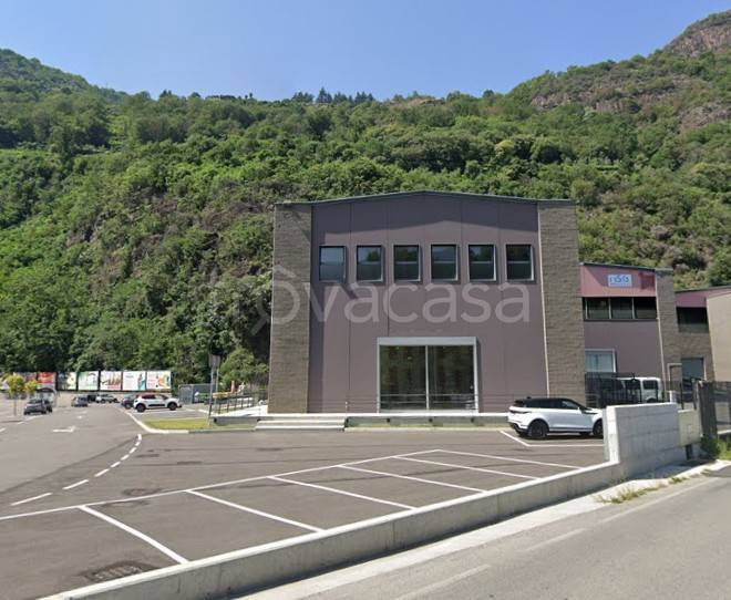 immagine annuncio 1 di 4
