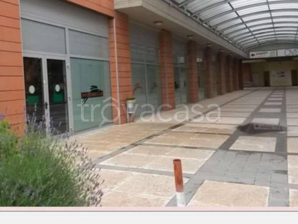 immagine annuncio 6 di 7