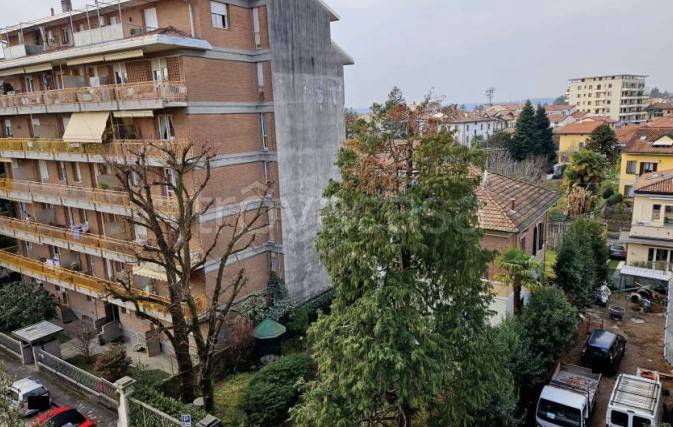 immagine annuncio 9 di 14