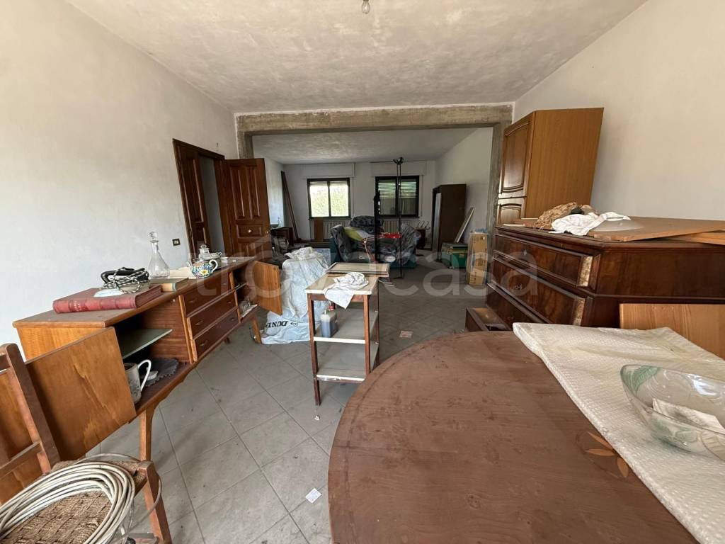 immagine annuncio 2 di 12