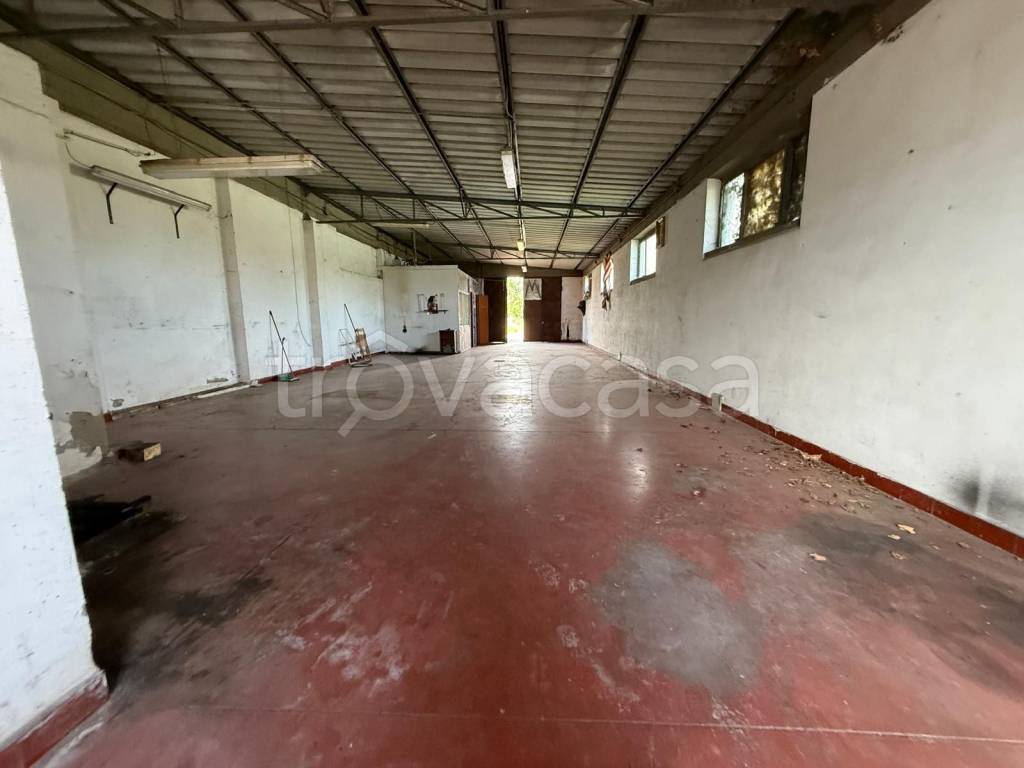 immagine annuncio 3 di 9