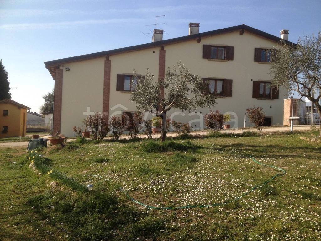 immagine annuncio 8 di 14