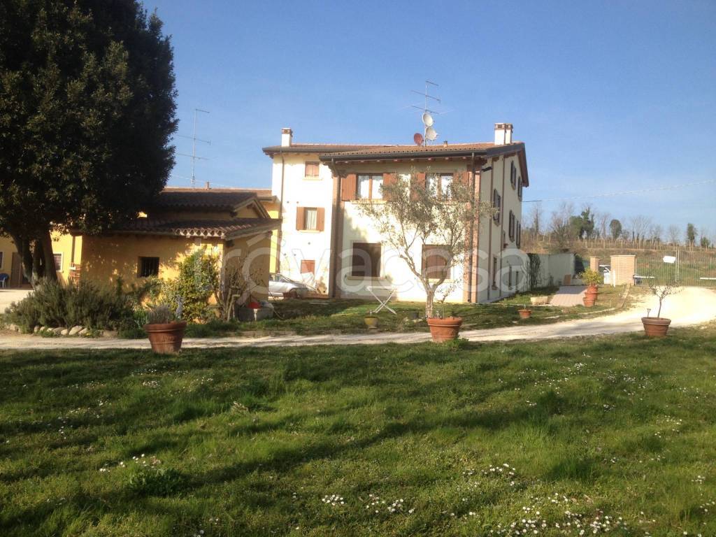 immagine annuncio 11 di 14