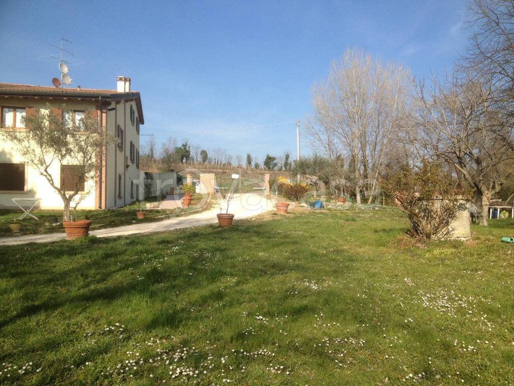 immagine annuncio 12 di 14