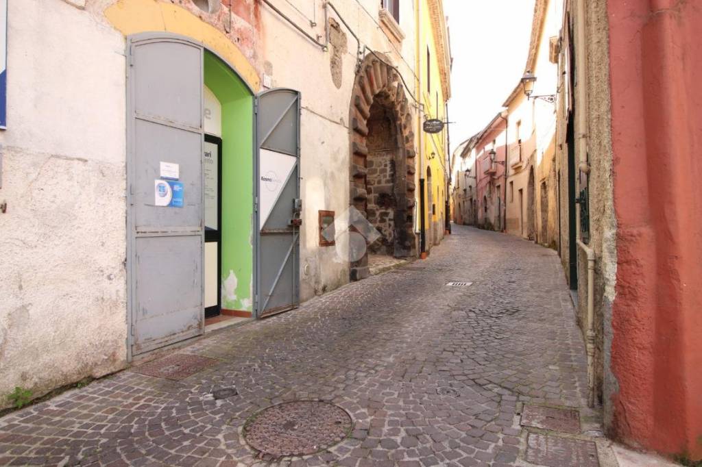 immagine annuncio 1 di 13