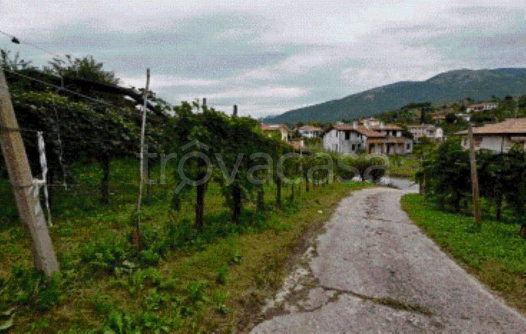 immagine annuncio 3 di 6