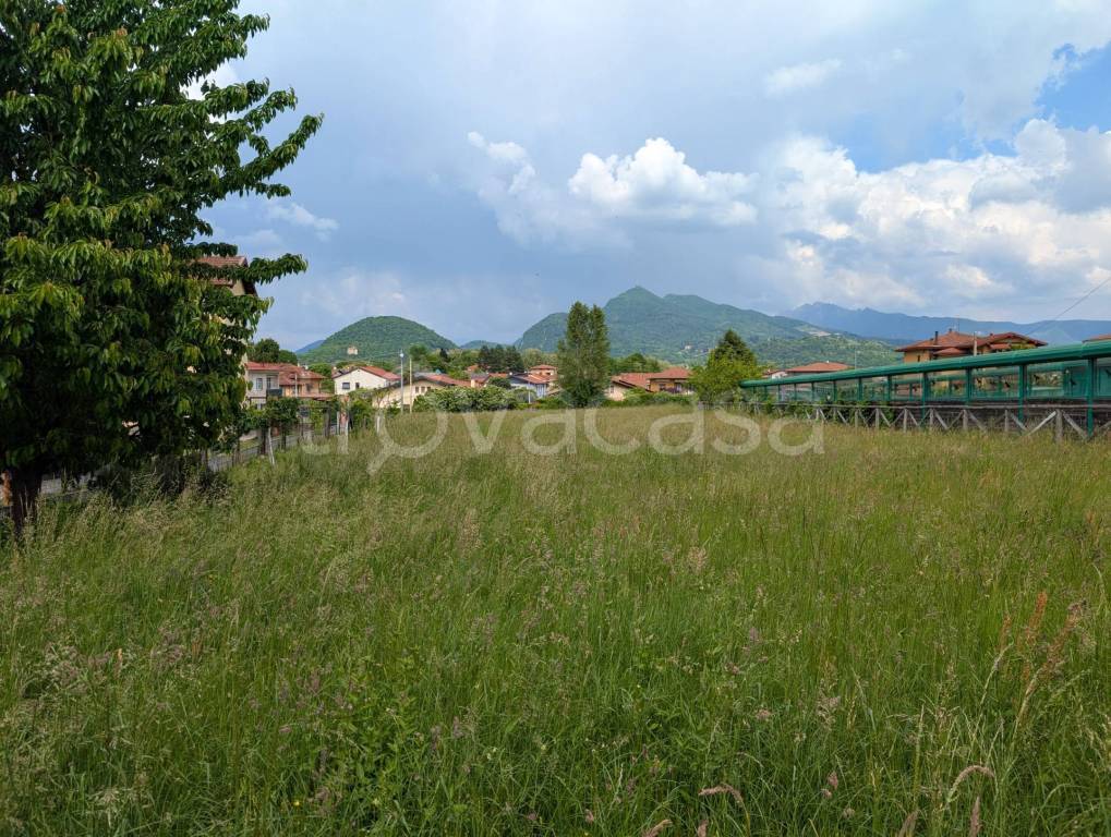 immagine annuncio 2 di 6