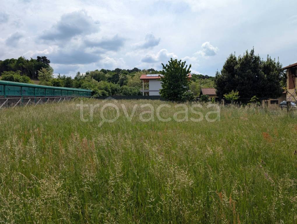 immagine annuncio 3 di 6