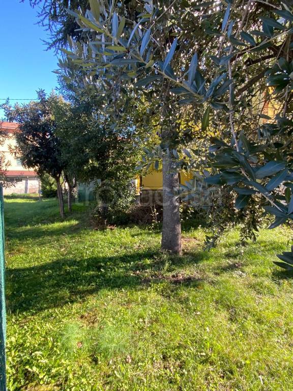 immagine annuncio 10 di 11