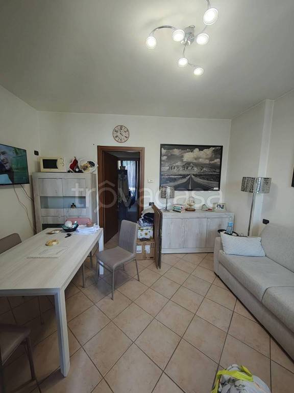 immagine annuncio 3 di 14