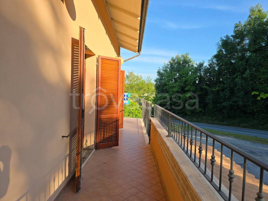 immagine annuncio 9 di 14