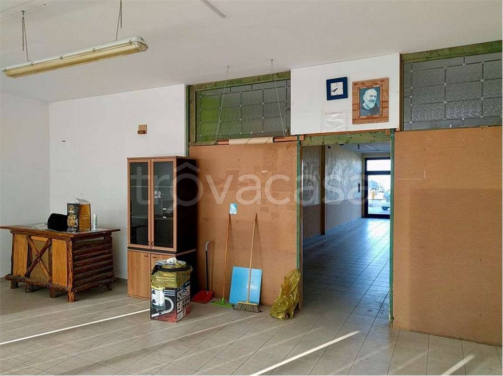 immagine annuncio 8 di 12