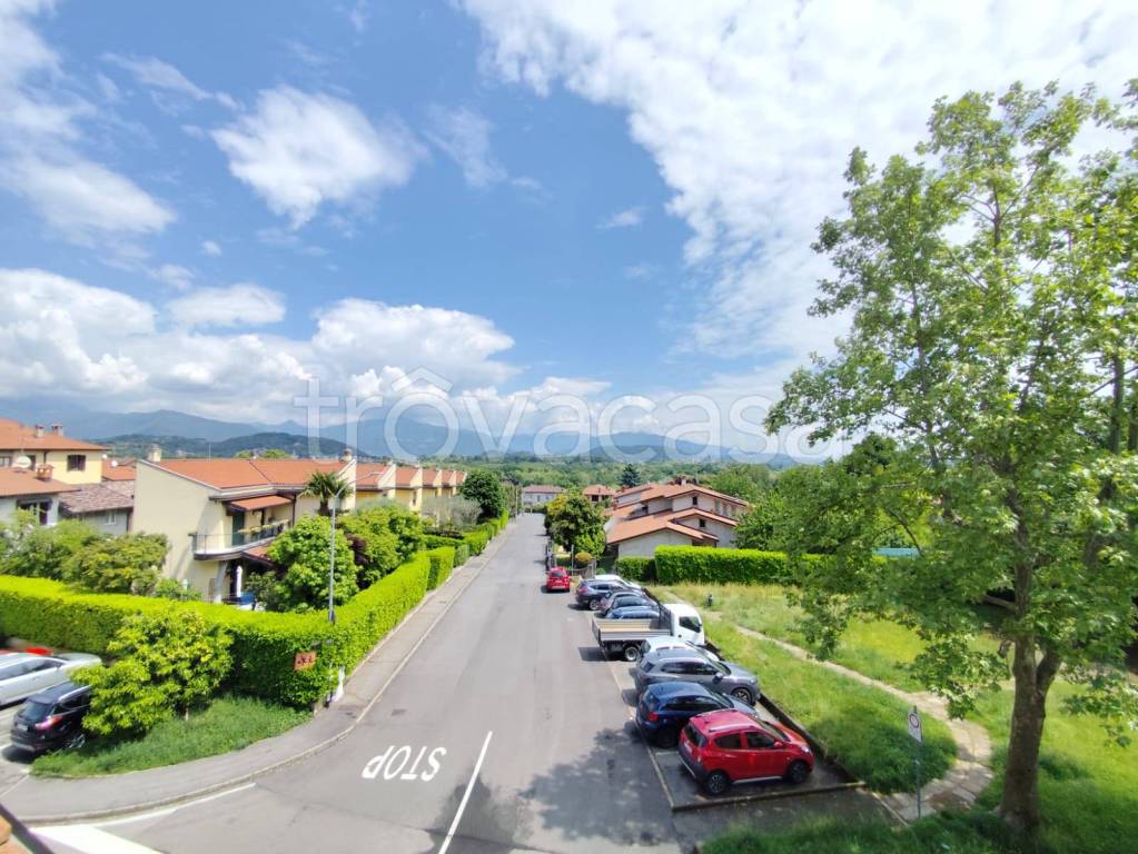 immagine annuncio 2 di 14