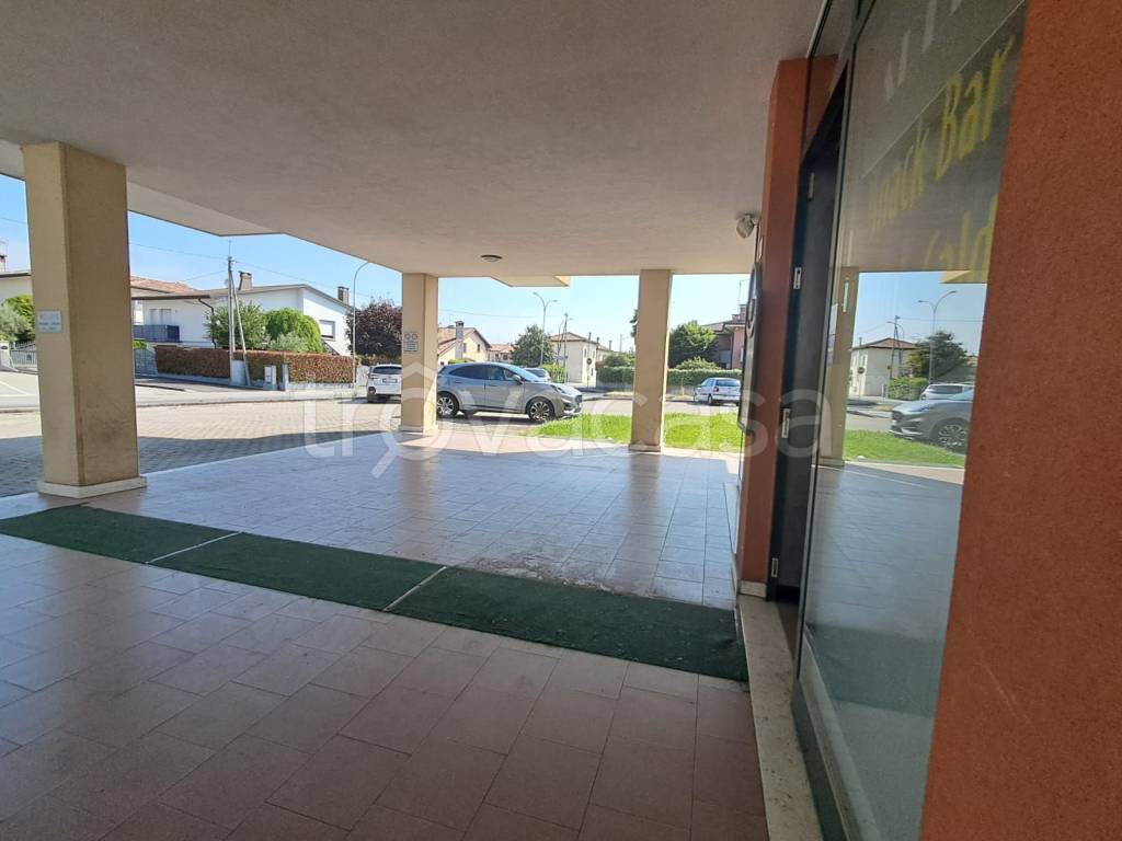 immagine annuncio 4 di 14
