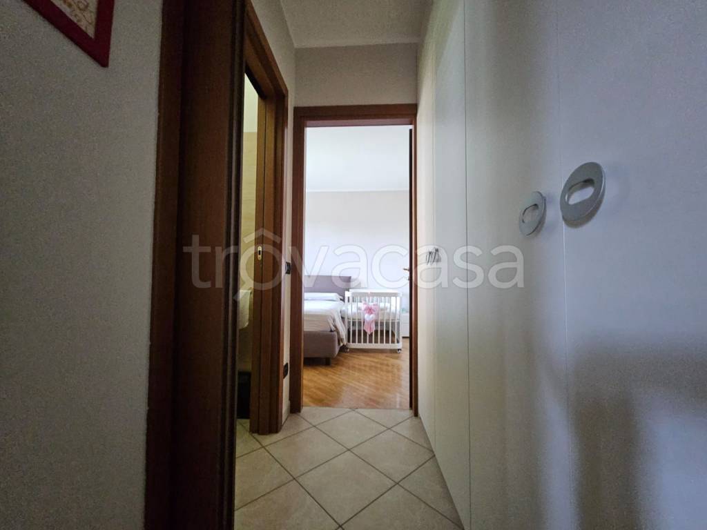 immagine annuncio 7 di 14