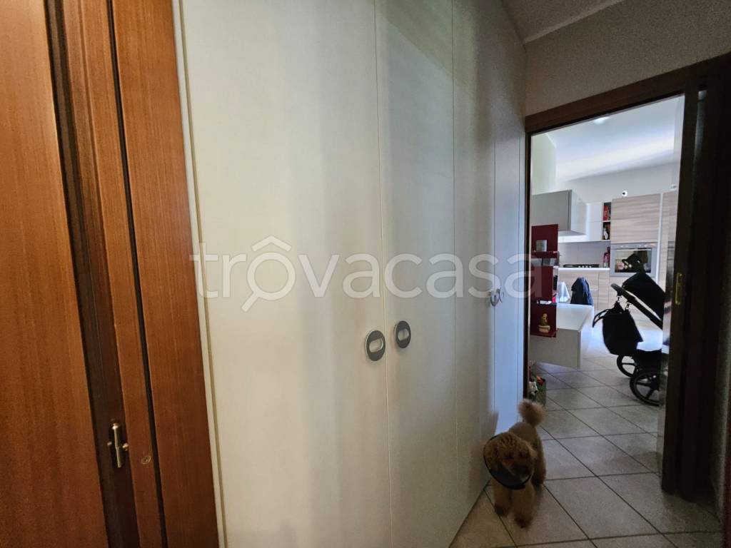 immagine annuncio 8 di 14