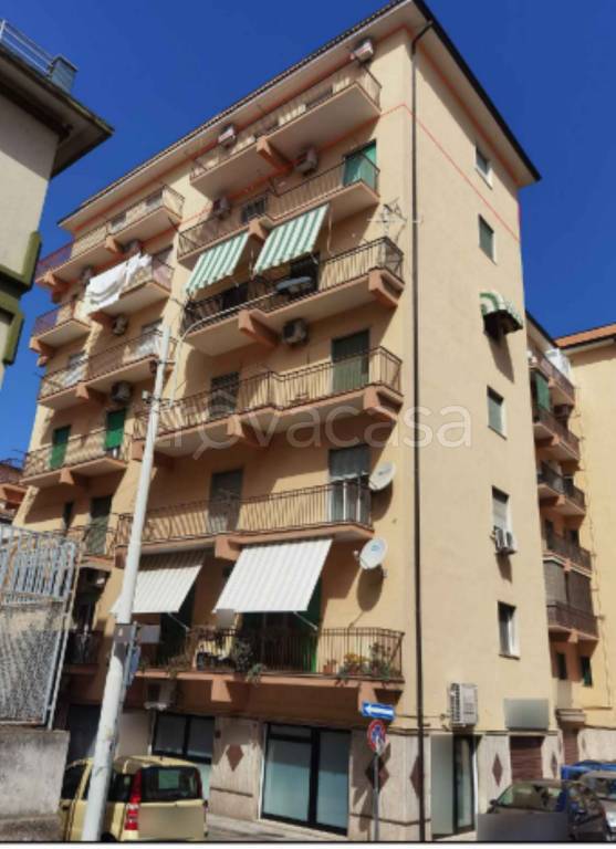 immagine annuncio 2 di 12