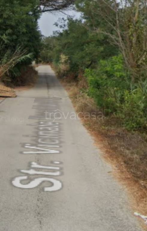 immagine annuncio 4 di 11