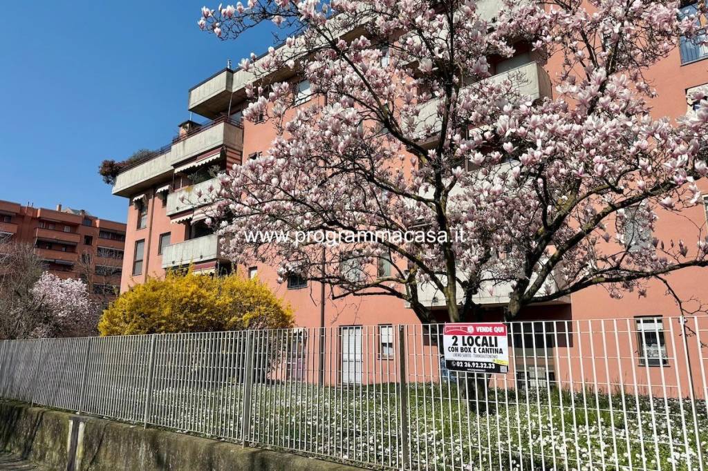 immagine annuncio 4 di 15