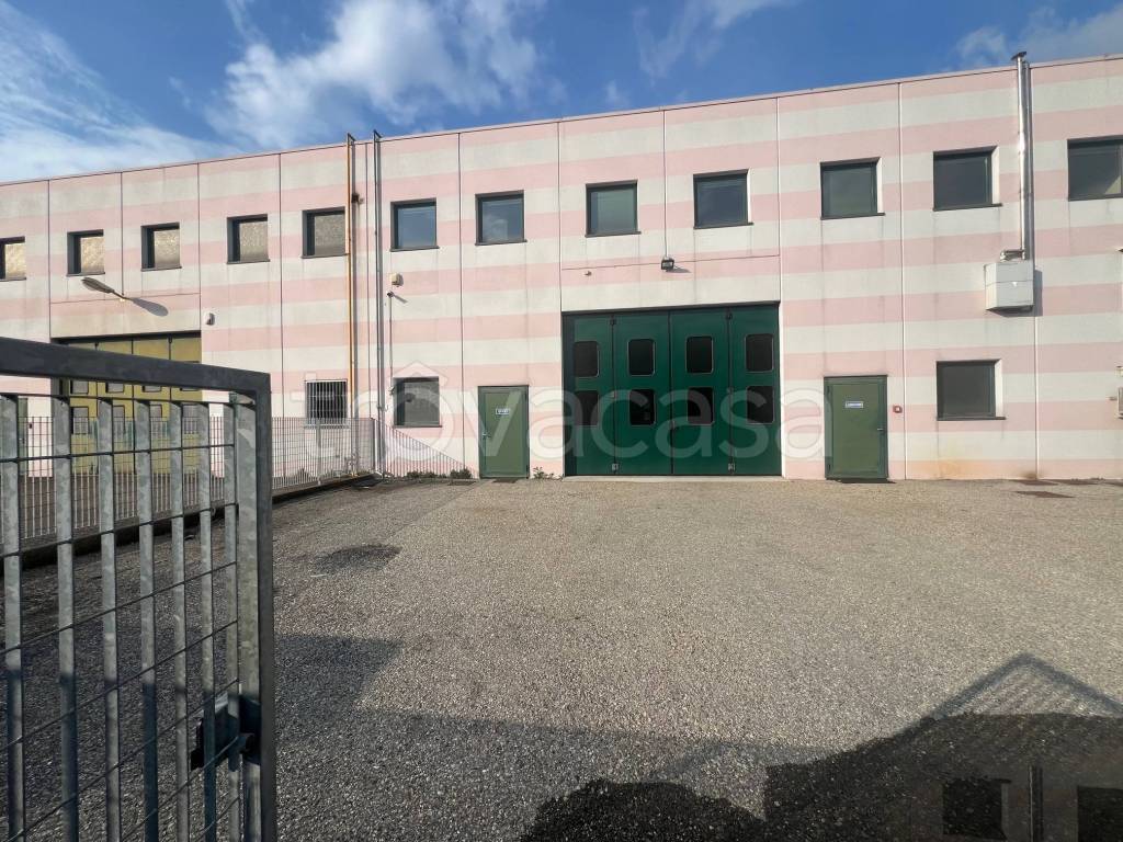 immagine annuncio 12 di 15