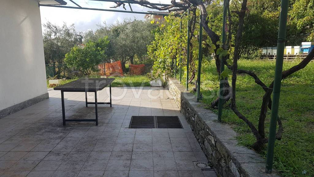 immagine annuncio 10 di 13