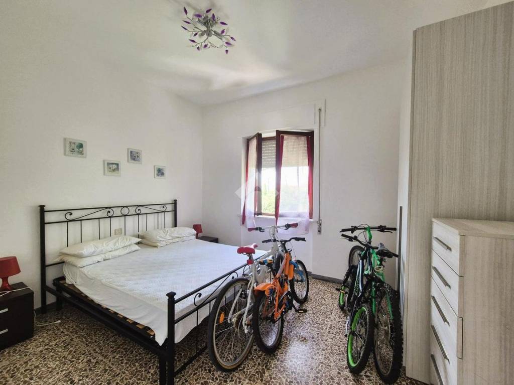 immagine annuncio 8 di 14