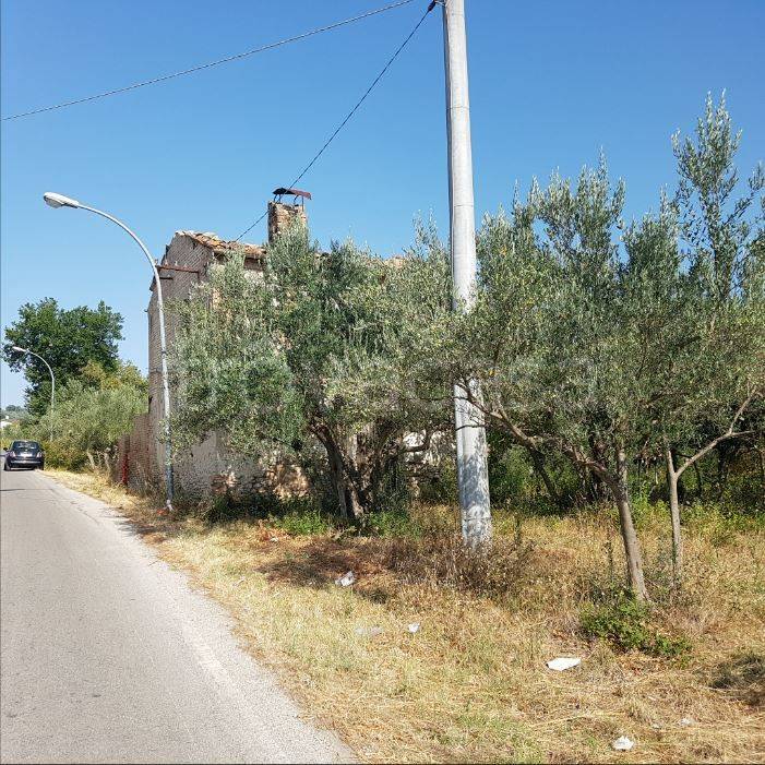 immagine annuncio 1 di 7