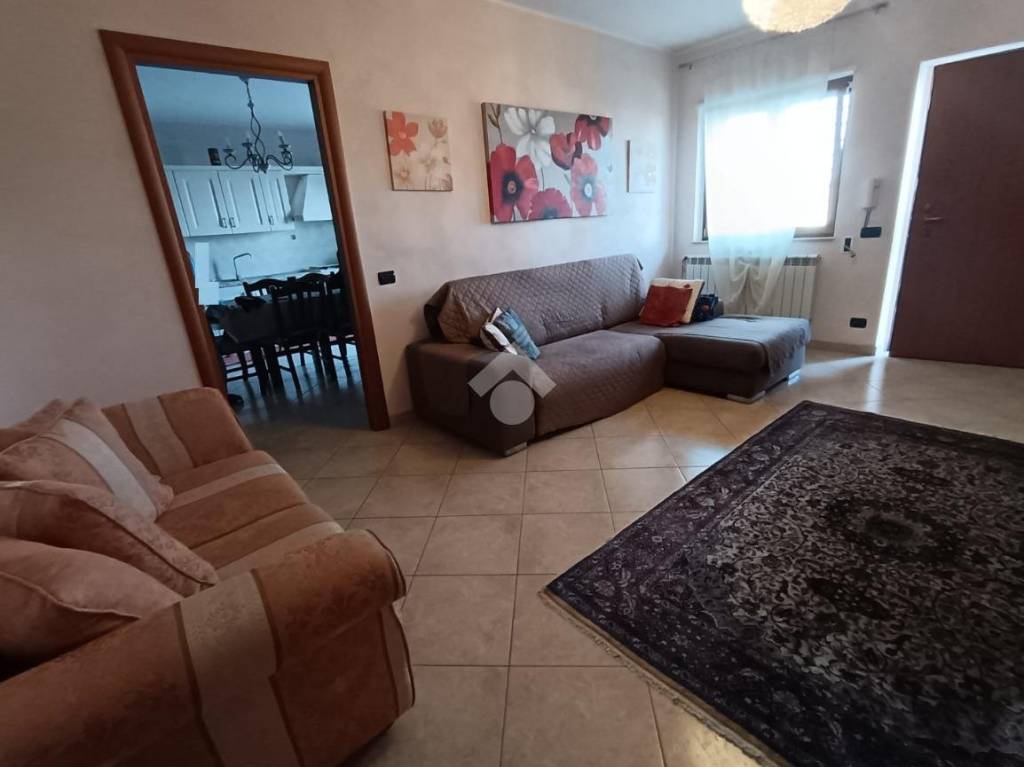 immagine annuncio 2 di 12
