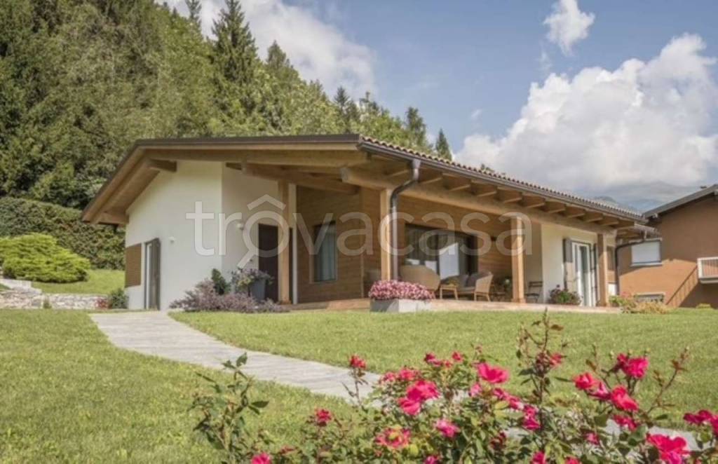 immagine annuncio 1 di 7