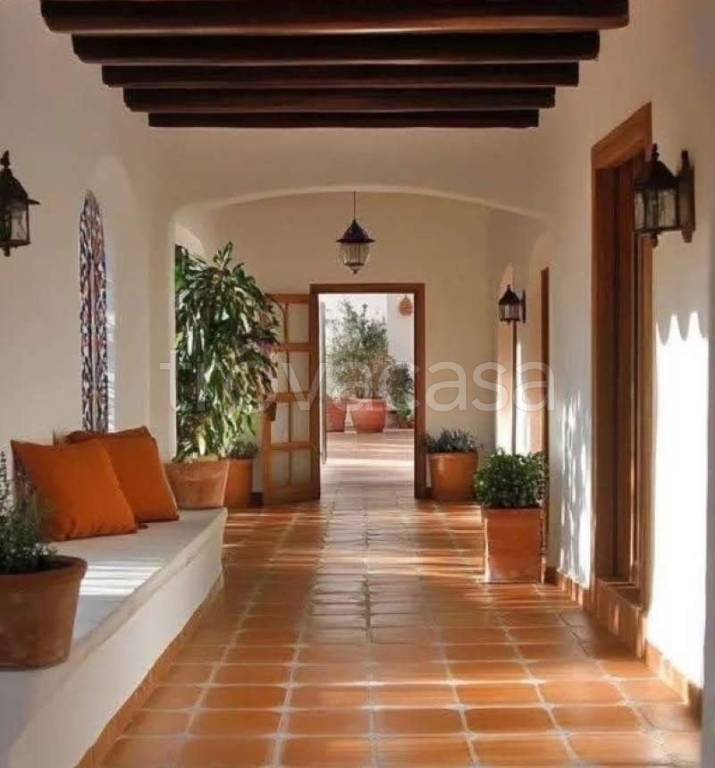 immagine annuncio 5 di 7