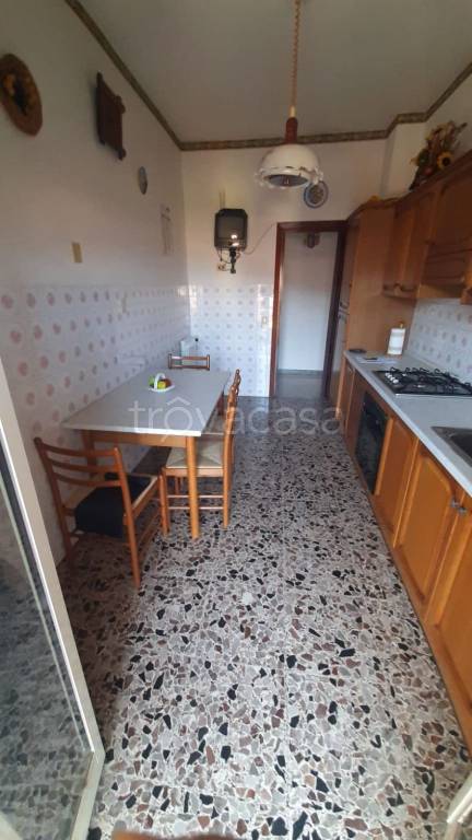 immagine annuncio 9 di 14