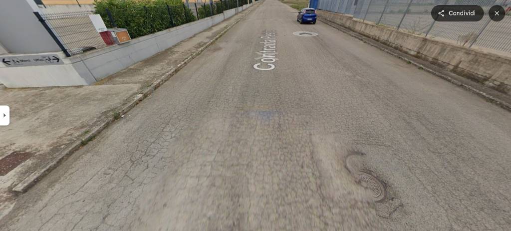 immagine annuncio 1 di 14